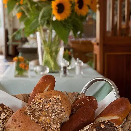 Rebstock Egringen Pensionat Efringen-Kirchen