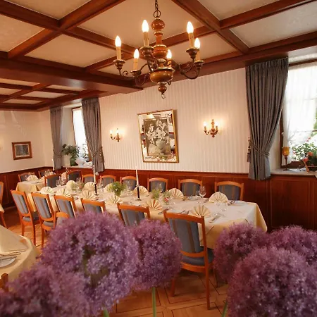 Rebstock Egringen Gasthof Efringen-Kirchen