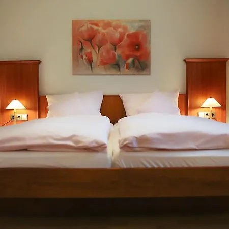 Rebstock Egringen 3* Efringen-Kirchen